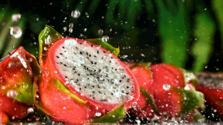fwg-video-fruta-evolucion-animada
